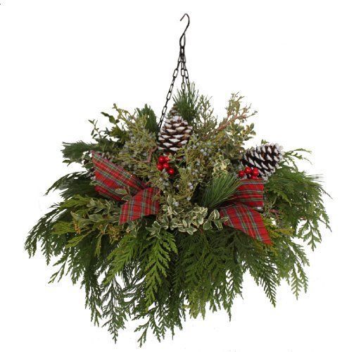 New hanging basket with fresh cut evergreens for sale