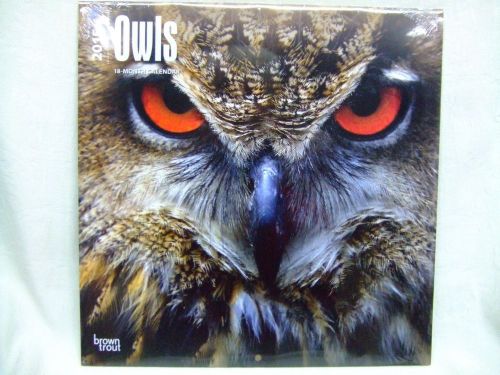 Brown Trout &#034;Owls&#034; 12&#034; 2015 18 Month Calendar New Factory Sealed