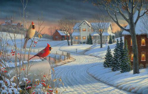 30 Personalized Return Address Labels Christmas Birds Buy 3 get 1 free (zz21)