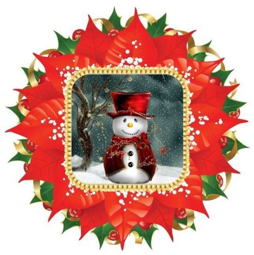 30 Personalized CHRISTMAS Return Address Labels Gift Favor Tags  (NC24)