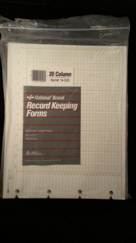 National Brand #19-020 Accounting Ledger Paper 20 Column Eye Ease 88 sheets