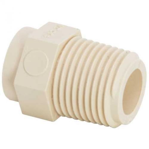 Fgg CPVC Male Adapter 1/2&#034; 50405G GENOVA PRODUCTS INC Pvc Compression Fittings