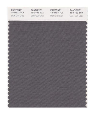 NEW PANTONE SMART 18-0403X Color Swatch Card  Dark Gull Gray