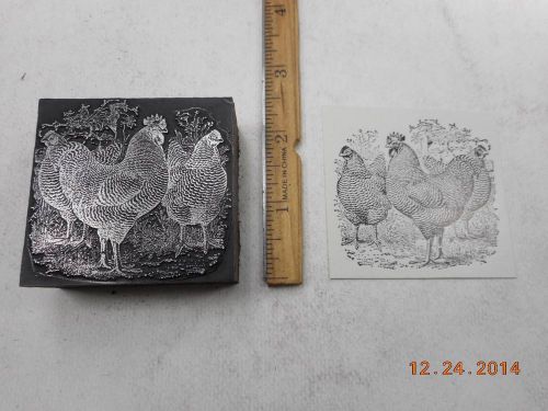 Letterpress Printing Printers Block, Dominique Chicken, Rooster &amp; 2 Hens