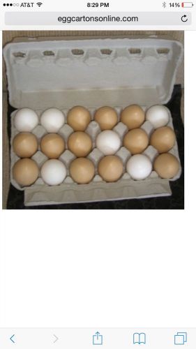 65 Paper  Mis printed egg cartons Holds 18 Eggs Free Shipping