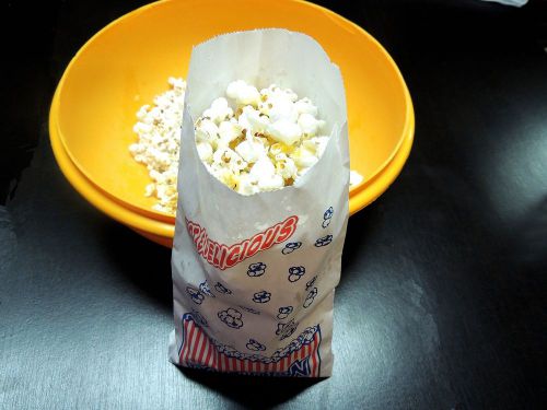 25 Popcorn Bags, Concession bags, Grease resistant bags, Food Safe Treat bags