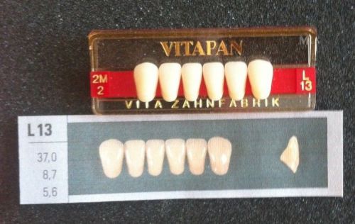 Vitapan Denture Teeth  L13    2M2