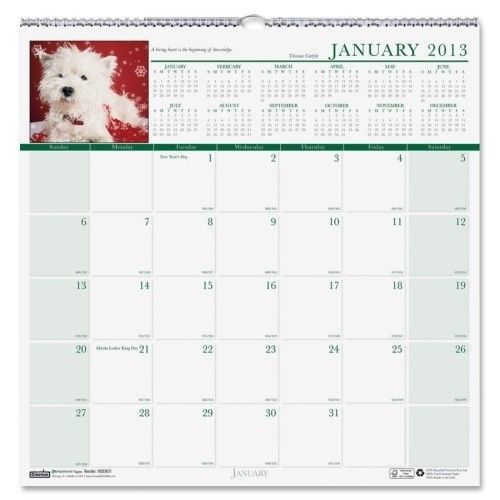 House of Doolittle Earthscapes Puppies Monthly Wall Calendar, 12 x 12, 2012