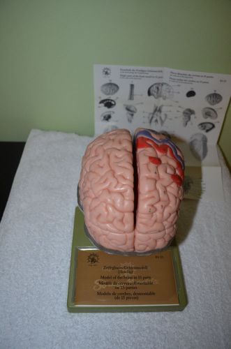 SOMSO Brain Model BS25 Anatomical Model. With manual and parts diagram. 15 piece