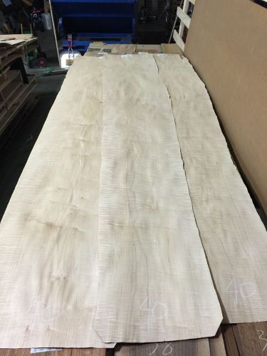 Wood Veneer Tiger Maple (size shown x104) 3pcs total Raw Veneer  &#034;EXOTIC&#034; MEX 40