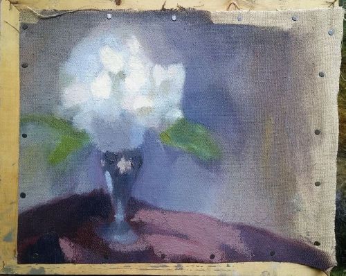 Twilight White Hydrangea in small vase-mylog#59
