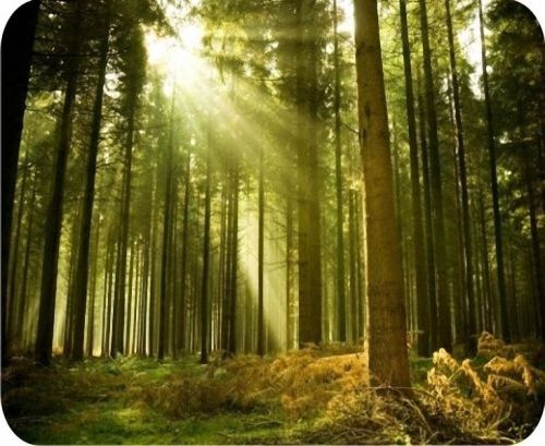 New Rays Of Light Mouse Pad Mats Mousepad Hot Gift