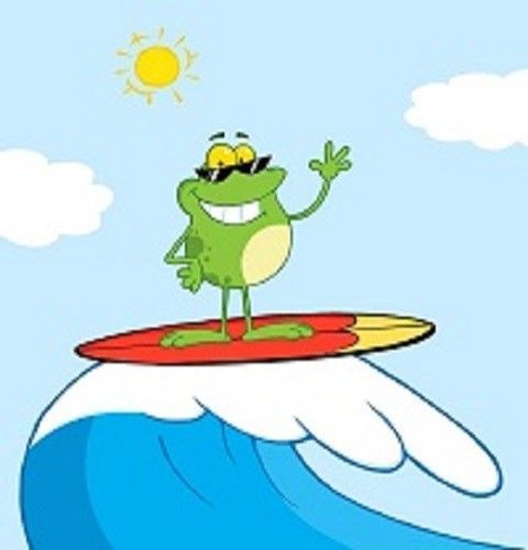30 Custom Surfing Frog Personalized Address Labels