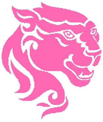 30 Custom Pink Panther Personalized Address Labels