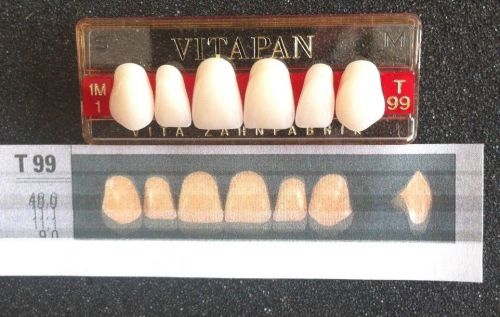 Vitapan Denture Teeth   T99   1M1