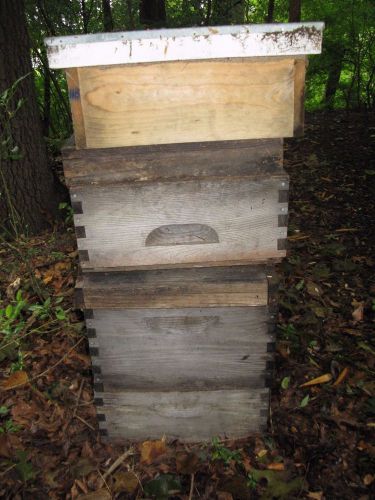 bee hive with super and frames, ready to start making $, beekeeping
