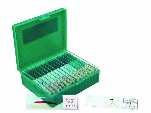 Walter Products B17105 Prepared Slide Set-Small Organisms (Pack of 15)