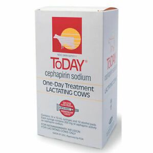 Today Cefa-lak Mastitis Tubes Dairy Beef Cattle 12 Count