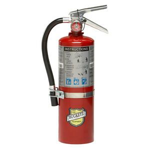 Buckeye ABC Portable Fire Extinguishers 25614  - 1 Each