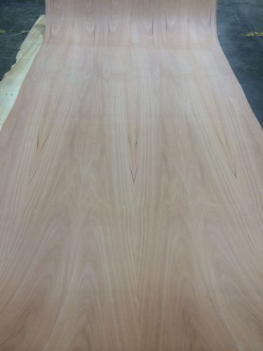 Wood Veneer Madrone 48x98 1pcs total 10mil Paper Glue Backer &#034;EXOTIC&#034; 09375 Lt1