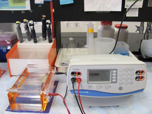 Fisher scientific fb1000 programmable electrophoresis power supply-slighty used for sale