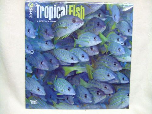 Brown Trout &#034;Tropical Fish&#034; 12&#034; 2015 18 Month Calendar New Factory Sealed