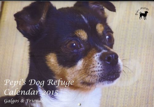 Pepi&#039;s dog refuge calendar 2015 galgos &amp; friends - help greyhounds/dogs at pepis for sale