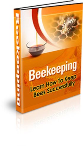 An Easy to Read Summary... And Beginner&#039;s Beekeeping Bible - MRR!