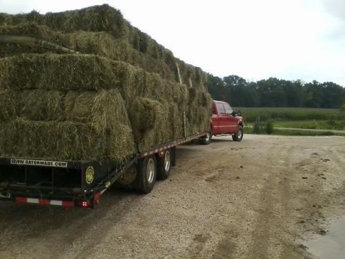 Clover/Grass mix hay
