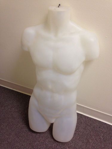 Male 3/4 Body Clear Colored Hanging Body Form Size Medium