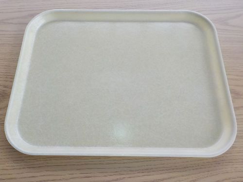 Fiberglass Cafeteria trays