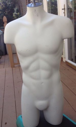 Male Full Torso Mannequin. Heavy Plaster.
