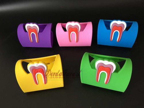 5pcs Dentistry Rubber Dental Teeth Tooth Name Card Holder Case Free shipping