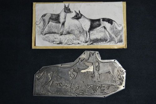 ETCHED ADVERTISMENT DOG PAIR PLATE