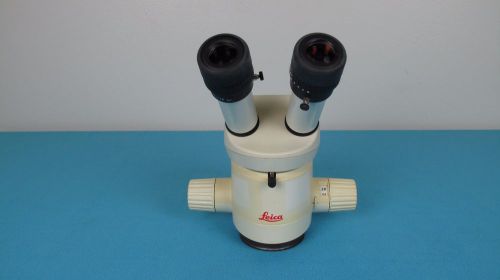 Leica MZ6 Stereo Zoom Microscope With Leica 16X/ 14B Eypieces