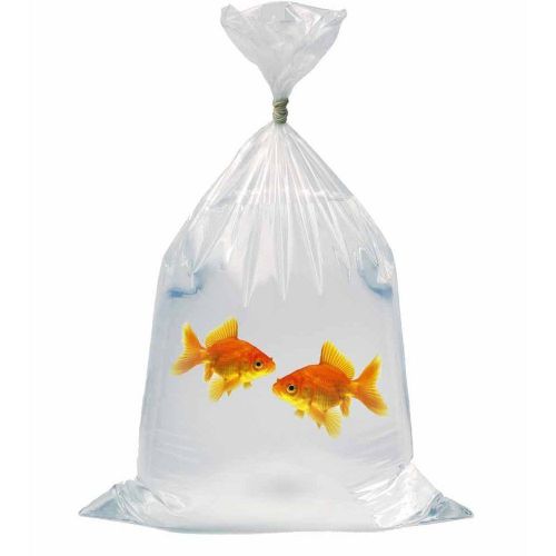 4&#034;x8&#034; clear polypropylene poly bags 500 pcs shipping bags 2 mil for sale
