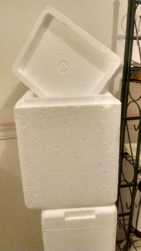 Tall styrofoam insulated cooler 14-1/2&#034; x11&#034; x 9&#034; with lid  (lot 06) for sale