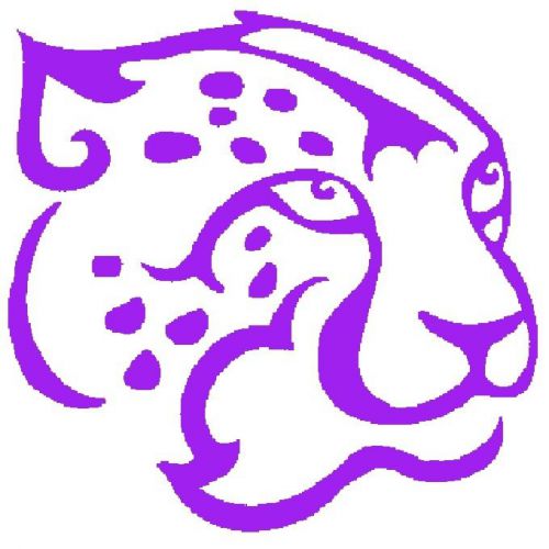 30 Custom Purple Leopard Personalized Address Labels