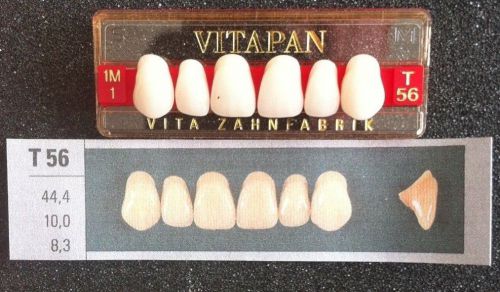 Vitapan Denture Teeth   T56   1M1