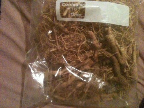 4 OUNCE  DRY WILD GINSENG Broke ROOT FIBER AND PRONG