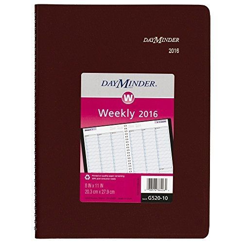 DayMinder Weekly Appointment Book / Planner 2016, 8 x 11 Inch Page Size,