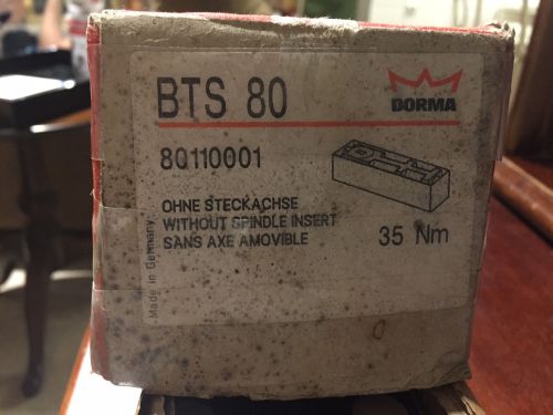 Dorma Model BTS 80 35 NM Floor Mounted Door Closer Body in Cement Case 80110001