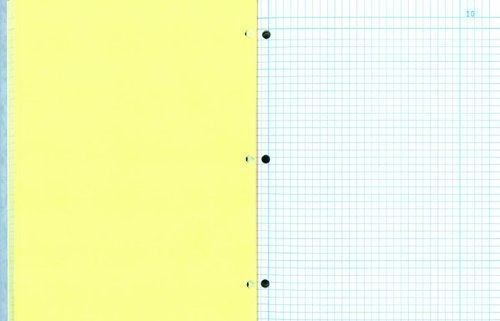 National NATIONAL Brand Computation Notebook, 4 X 4 Quad, Gray, Carbonless, 11 x