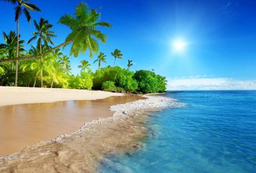 Wallpaper/Digital Picture/Photo/Desktop sunshine beach