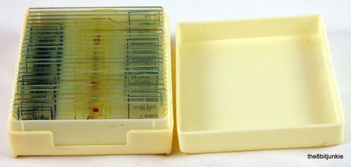 24 Vintage Perfect Professional Prepared Microscope Slides - 1 is cracked