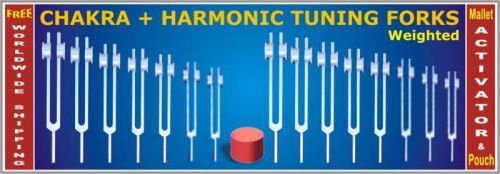 Weighted 7 chakra &amp; 8 harmonic healing 15 tuning forks w activator &amp; pouch for sale