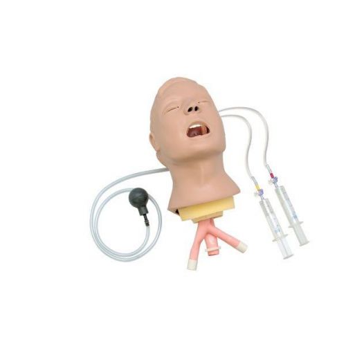 Brand new life/form advanced airway larry trainer head #lf03684u for sale