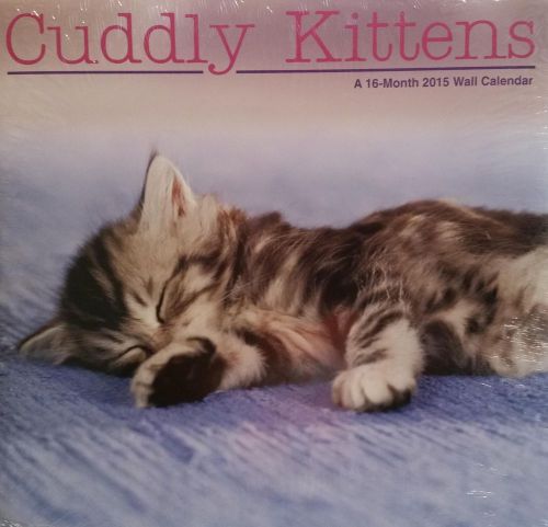 2015 CUDDLY KITTENS Wall Calendar NEW Cute Outdoor Cats Animals