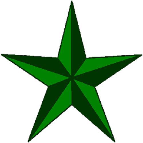 30 Custom Green Star Personalized Address Labels