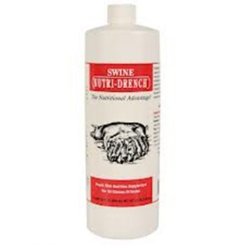 Swine Pig  NutriDrench Energy Nutri-Drench 32 oz Weak Stressed Piglets